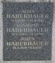 Julius Alois Haberhauer